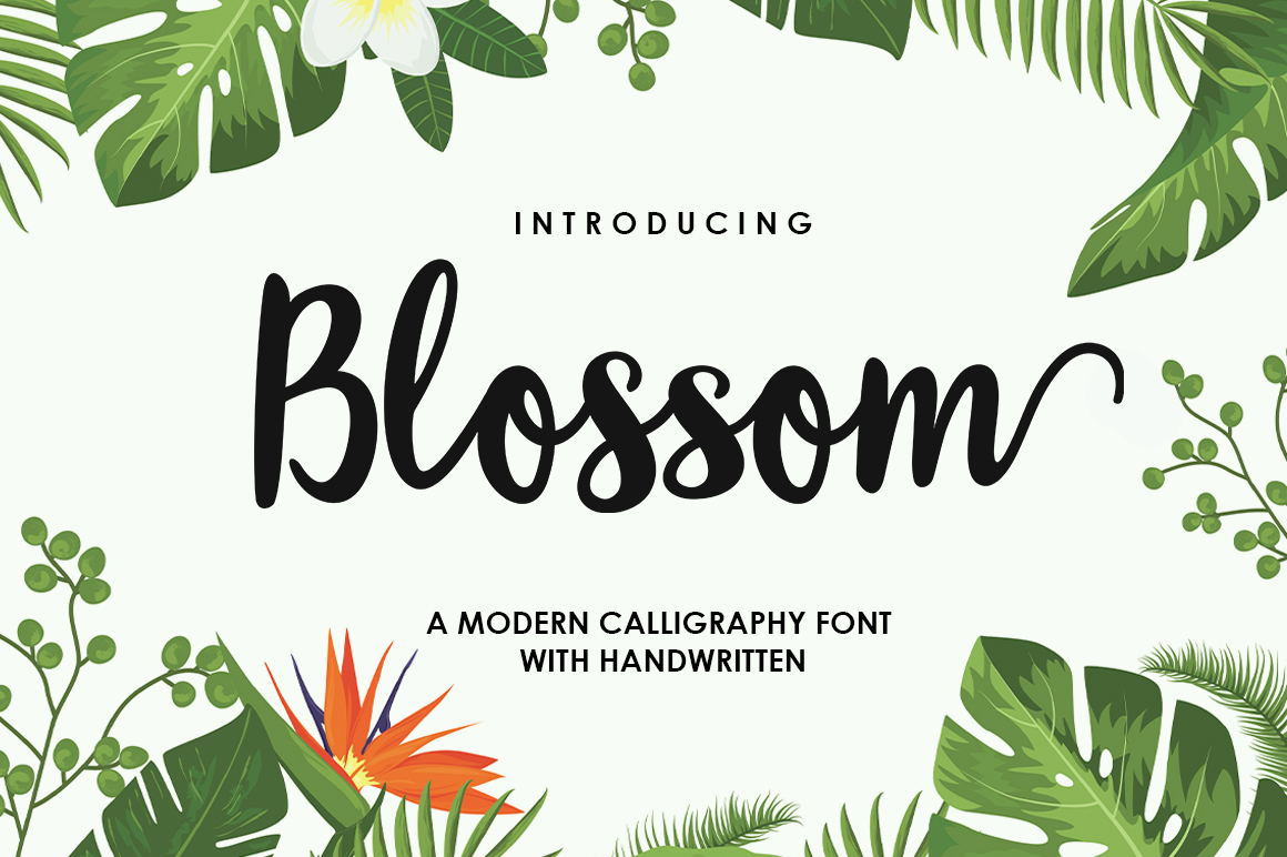 Blossom Script Font Review for Promo Campaigns